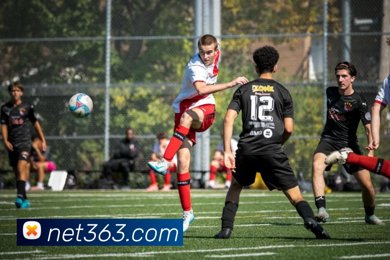 开云平台生态图